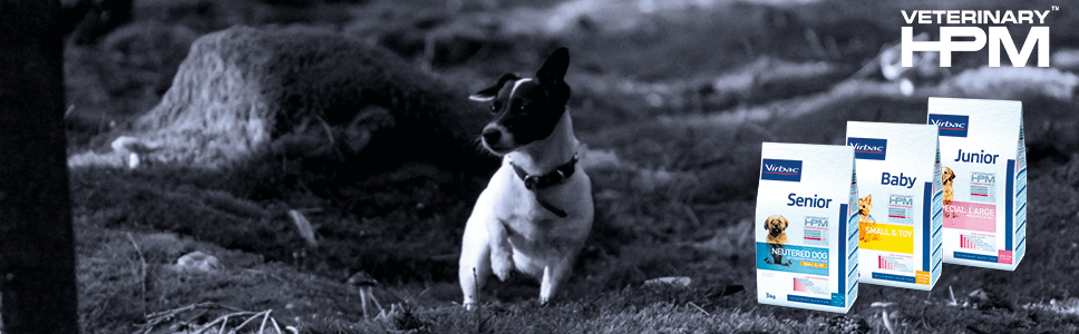 Conoce los beneficios que tiene Veterinary HPM para tu perro